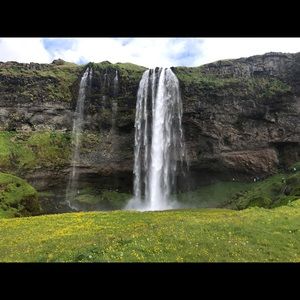 Meet your Posher, Audrey